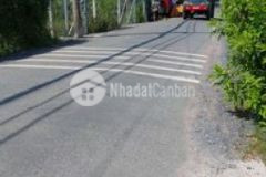 Đất sổ hồng 350m2 đất ở xã hưng long h bình chánh