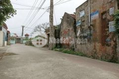 Hồng thái đông kết khoái châu