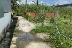 Nền đẹp cách bờ kè rạch cam 200m