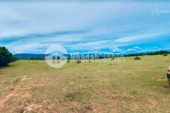 Đất sào shr, cổng safari 3.300ha hồng liêm, giá 140 ngànm2.lh tôi có zalo 0919 626 750