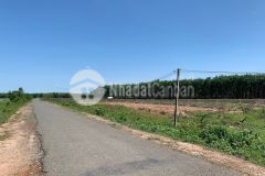 Bán 5 lô đất liền kề tỉnh lộ 14c xã long chữ bến cầu tây ninh