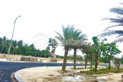 Dự án đầu tiên của tx. hoài nhơn được chính quyền nhà nước quan tâm và cấp phép xây dựng