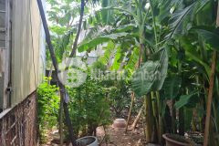 Bán đất tại gia thượng, ngọc thụy, long biên. dt 88m2, mt 5m, giá chào 3.1 tỷ