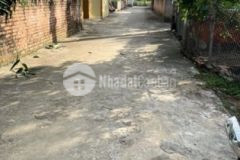 184m sen trì binh yên mặt tiền 6m giá 11 5trm