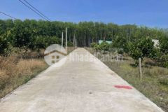 Chính chủ bán 2 nền liền kề minh lập chơn thành