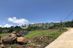 Bán đất nghỉ dưỡng hơn 1000m2, view sông đồng nai giá chỉ tư 1,4 triệum2.