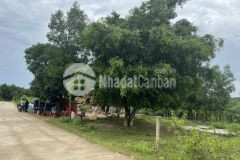 Chủ nợ nần cần thanh lý gấp lô giáp suối cực đẹp