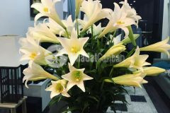 Bán căn hộ chung cư helios 75 tam trinh, hoàng mai, căn góc, 2 ngủ rộng, dt 80.5m, 2.8 tỷ