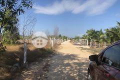 Đất sào phủ hồng tân bình lagi sát biển 1952m rừng vàng mặt tiền đường số 1 30x64 7 tỷ