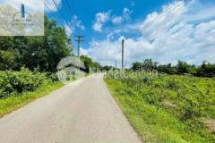 Hàng phân lô suối rao 200m mt 300thổ cư phủ hồng