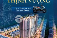 Hot hot hot trust city đang ra mắt dự án mở bán căn hộ chung cư cao cấp trust c
