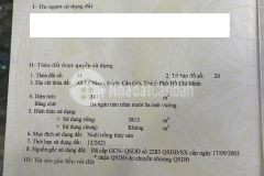 Đất cần giờ tìm chủ mới cho 7ha giá 450km2