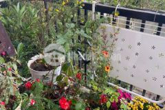 Ban chung cư đo khe sanh đa lat đi nươc ngoai