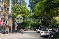 Hiếm có khó tìm trần quý kiên 60m2, mt 6m 10m mặt phố kd đỉnh ở sướng 10.3 tỷ