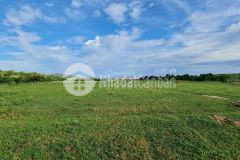 Chỉ 350 triệu có 1260m2 đất sào hồng liêm cách ql1a 900m đối diện safari có sẵn đường lh