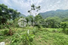 Bán gấp lô đất có dt 1800m2 bám suối cách đường 12b có 30m giá chỉ 850tr