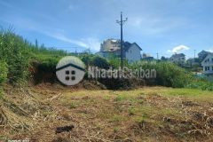 Đầu tư đất giá 29triệum2 349m2 đất trần đại nghĩa, p8 đà lạt
