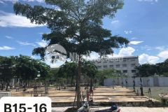 Bán đất nền dự án tại phường ba láng, cái răng, cần thơ diện tích 120m2