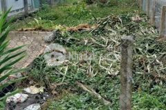 Chinh chu gưi ban miêng đât 210m2 đương nhưa 8m măt tiên đương xuân thơi đông 2, huyên