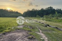 Đất mẫu trảng bàng gần cao tốc tphcm mộc bài