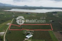 Mảnh vườn 9300 ven biển lagi