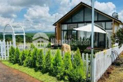 Đất tp bảo lộc đường 4m gần ql20 sau giáp suối đẹp