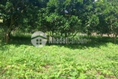 Bán mảnh 106m2 tại liễn nghĩa văn giang