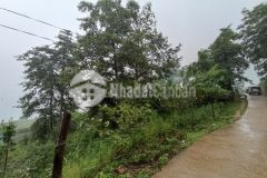 Đón sóng sân bay cam cọn, cần bán gấp mảnh đất 700m2 tại thôn sín chải, y tý, sapa2.