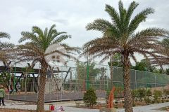 Đất nền trung tâm kinh tế biển tam quan hoài nhơn sở hữu lâu dài chỉ từ 999 trieu