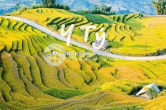 Đất nền sapa2 vị trí đắc địa, săn mây đỉnh nhất y tý. đón sóng quy hoạch chi tiết phân khu