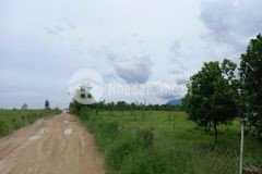 Đất kp 5 tân nghĩa hàm tân 3 mặt tiền sổ vuông 2,1 mẫu 8,5 tỷ 110x220 chưa qua đầu tư