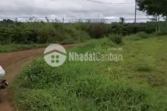 Thu hồi vốn, bán 9.8ha đất 2mt đường nhà nước ea drong buôn hồ đăk lăk