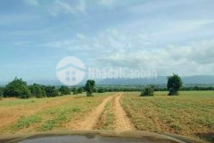 Bán 1,1ha đất bắc bình, bình thuận, chỉ 130km2, shr, mặt tiền vuông vức