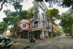 Bùm bùm bùm mp hoàng sâm 50m2 x 5t kinh doanh hốt bạc ở vip nhỉnh 12 tỷ