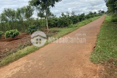 Cãi nhau với mẹ chồng, bán gấp của hồi môn 3 lô liền kề chỉ hơn 1ty2, pơng drang, đaklak