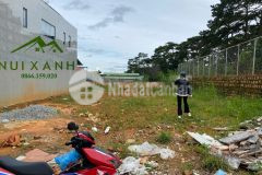 Ban gâp đât biêt thư nghi dương gia đâu tư tai tp đa lat