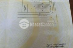 Hàng siêu hiếm chỉ tiếp khách nhu cầu đúng