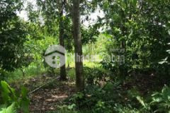 Đất mặt tiền đường 4 mét