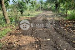 Cần bán mảnh vườn sổ riêng 12 24 gần kcn sông mây