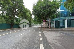 Cắt lỗ bán gấp đất mặt đường việt hưng, long biên, 96m2 x 6m mặt tiền, giá chốt 19.7 tỷ bao phí thuế