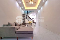 Bán nhà trường chinh, gần phố, ô tô đỗ cửa, ở ngay, 54mx5t, 5pn, giá 4.8tỷ