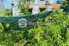 Chính chủ cần bán đất nguyệt áng, đại áng ngõ ô tô 40 mét, 1 tỷ 450 liên hệ 0886644228