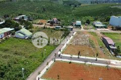 Đất nên biệt thự sam world bảo lộc nhà ngoại ô view triệu đô, gía tốt lh 0966.047.768.