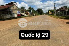 Đầu từ hạt dẻ, chờ thời, thị xã buôn hồ đắk lăk, sổ riêng, thổ cư, đường nhà nước
