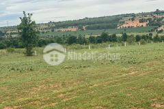 Bán 3 lô đất sào sông luỹ liền nhau cách farm, đ.trần khánh linh 400m giá từ 140000m2,