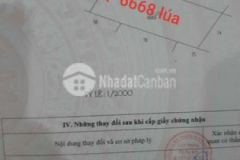 Đất thổ cư mặt tiền đường đt823