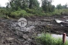 Đất vườn lâu năm hẻm xe hơi 9 chủ