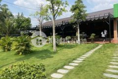 Bán rẻ đất tặng nhà vườn kèm quán cafe đường 20m