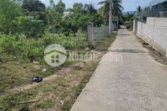 Bán lô đất 12 x 45 cách đường phạm văn đồng 100m