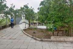 Đất trồng cây lâu năm ngoại thành hà nội giá rẻ